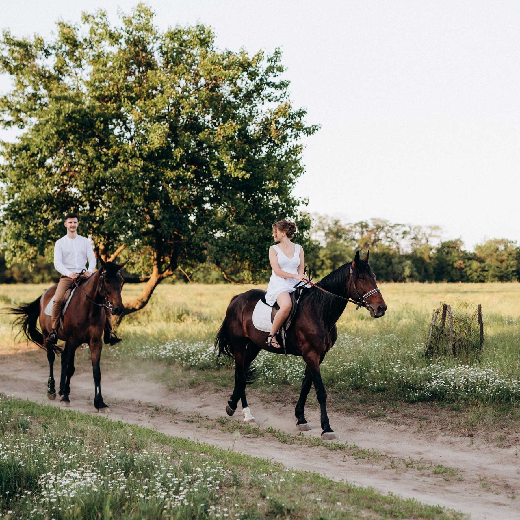 Passeggiata a Cavallo
